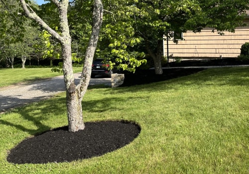 Achieve A Perfect Lawn In Derry, NH: Combining Lawn Care Treatment With Arborist Expertise