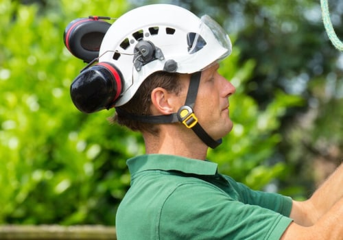 Why Hire a Certified Arborist? The Benefits of Working with an ISA-Certified Professional